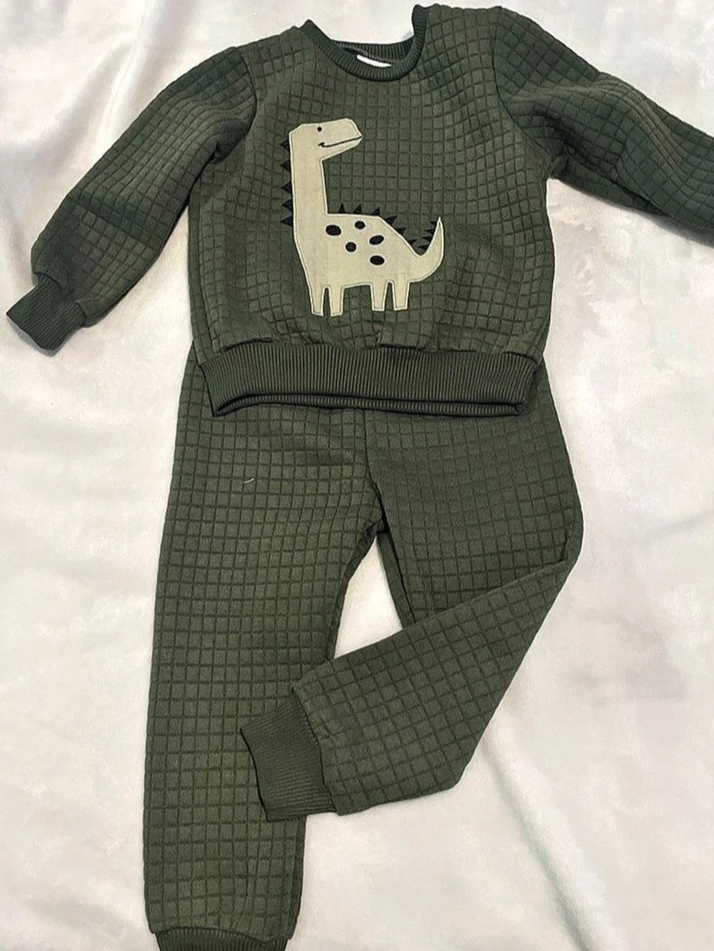ricky's ltd. Boys 3T Dinosaur Matching Set in Green
